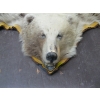 Image 2 : TANNED GRIZZLY HIDE WITH HEAD MOUNT