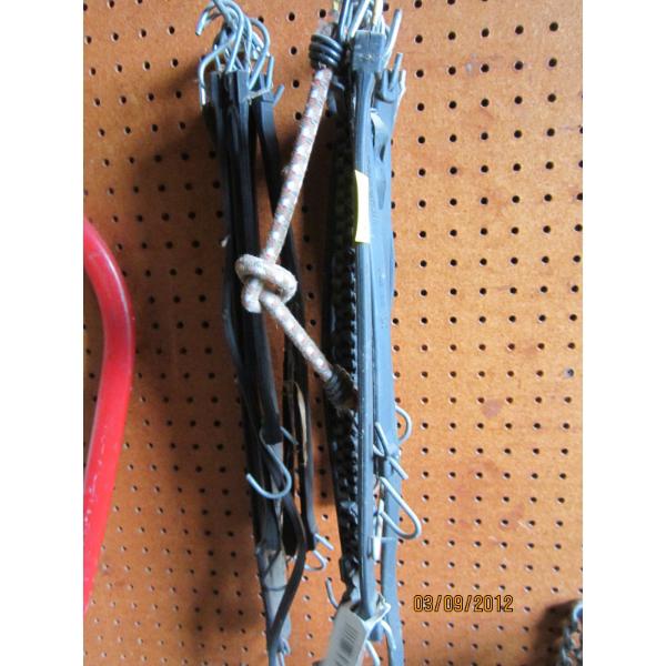ASST. BUNGEE CORDS