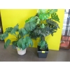 Image 1 : 2 ARTIFICIAL PLANTS