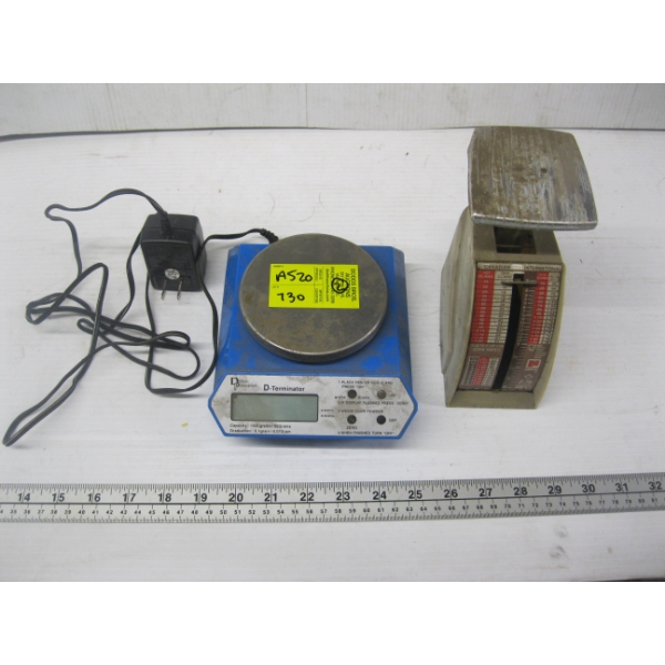 95 GRAMS GRAIN SCALE & SMALL SPRING SCALE