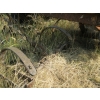 Image 2 : CULTIVATOR