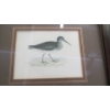 Image 3 : 2 FRAMED PRINTS OF BIRDS