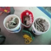 Image 2 : 3 BUCKETS OF ROPE