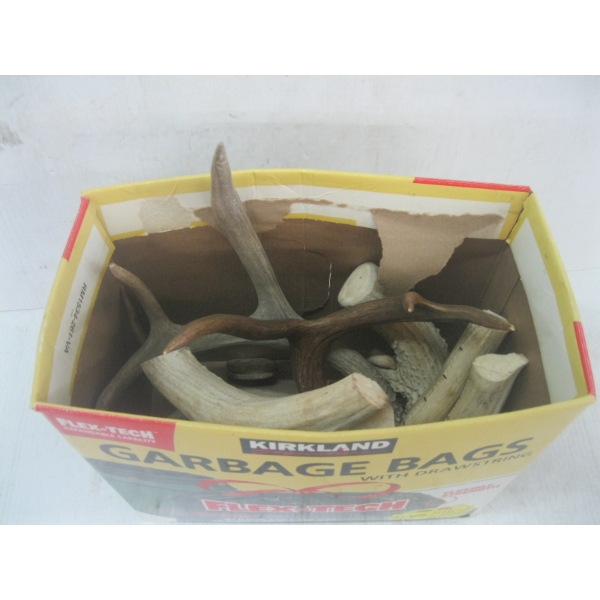 SM. BOX OF ANTLERS