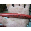 Image 2 : RED AIRLINE