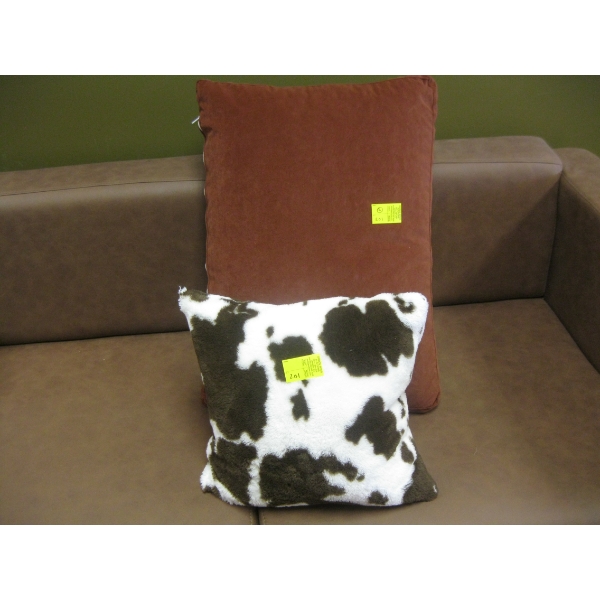 2 CUSHIONS