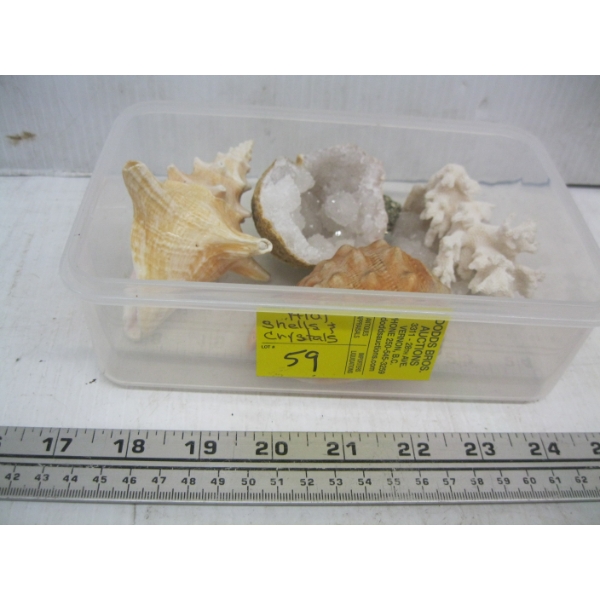 SM. CONTAINER OF SHELLS & CRYSTALS