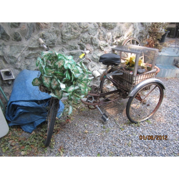 3 WHEEL PLANTER BICYCLE