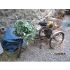 Image 1 : 3 WHEEL PLANTER BICYCLE