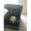 Image 4 : GREY UPHOLSTERED CHAIR W/PULLOUT FOOTREST & PADDED STORAGE STOOL - NOT BLANKET