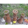 Image 5 : 3 SCREWJACKS