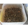 Image 2 : 4 BINS OF ASST. SCREWS & NAILS