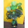 Image 2 : 2 ARTIFICIAL PLANTS