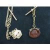 Image 2 : 2 WATCH CHAINS