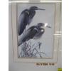 Image 2 : PAIR OF FRAMED PRINTS OF BIRDS