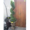 Image 1 : CEMENT PLANTER W/TOPIARY