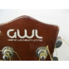 Image 3 : GEORGE WASHBURN ELECTRICACOUSTIC  GUITAR SIGNED BY VANDI OF WHITESNAKE