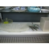 Image 2 : MISC. COLLECTOR PLATES, POTTERY PIECES, GLASSWARE, ETC.
