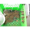 Image 3 : MISC. CHAIN HOOKS, AIR HOSE, ETC.