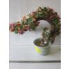 Image 1 : CHINESE JADE FLOWER IN CERAMIC POT