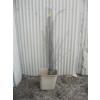 Image 1 : LARGE LOT OF ASST'D METAL BREAKLINE TUBING