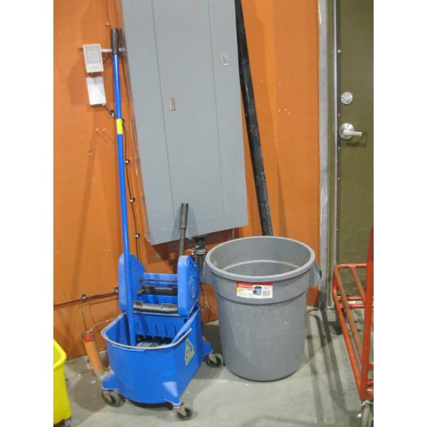 MOP BUCKET W/SQUEEGEE & MOP
