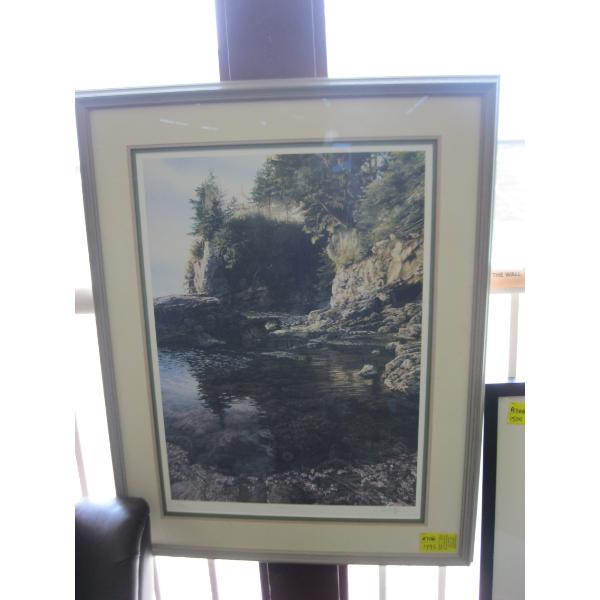 NUMBER PRINT, "TIDE POOL"