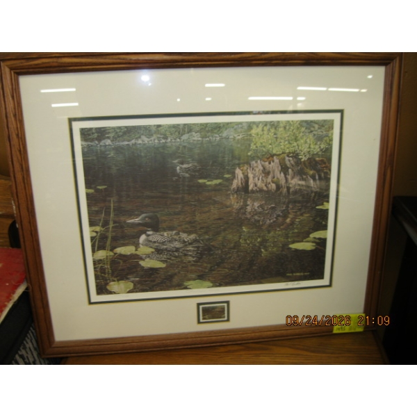 PAUL RANKIN NUMBERED FRAMED SIGNED PRINT "SHALLOW ROOTS" W/MATCHING STAMP
