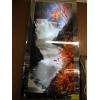Image 2 : LIGHTED MOTION PICTURE