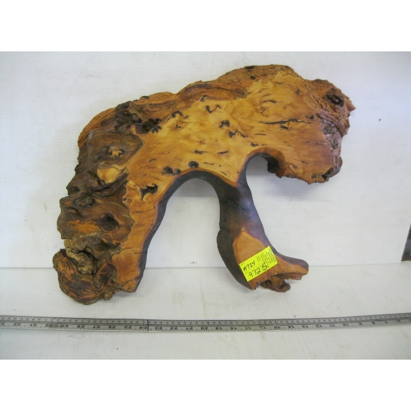 WALL HANG PIECE OF BURL