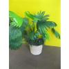 Image 3 : 2 ARTIFICIAL PLANTS