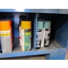 Image 3 : 8 CUBBIES W/SPRAY PAINT