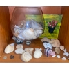 Image 1 : XL Crystal Chalice 11T w/ Gifts From The Sea & More