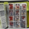 Image 4 : Binder of Panini Collector Hockey Card Stickers