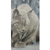 Image 5 : Print of Lynx, Artist: Robert Bateman, Framed Under Glass 41.5 X 28.5 