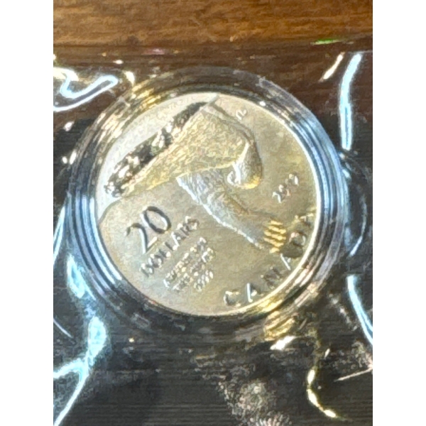 2012 Polar Bear $20 Silver Coin 7.96g .9999 Fine Silver