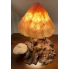Image 2 : Decorative Mushroon Lamp 11T Fungi Zoomies Light