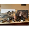 collection of wooden ducks as well duck calls, and two pictures one with two photos of unknown artis