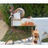 Image 4 : Dual Axle Steel Boat Trailer