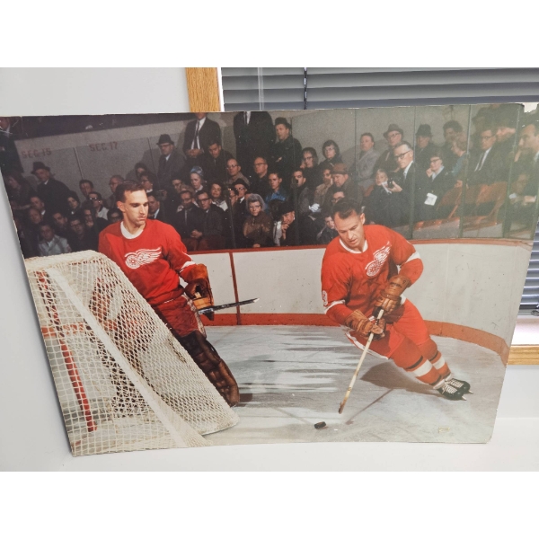 Detroit Red Wings Hockey Action Scene Wall Art (40 x 30)