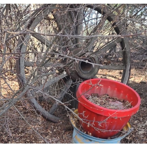 Antique Wheel 36" Diameter and Other Outdoor Decor and Garden Planters Including: Birdhouse 13 T