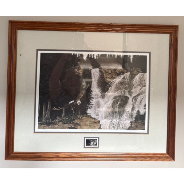 Vintage Martin Visser Eagle Print - Signed & Numbered - North American Wildlife Series 27x22