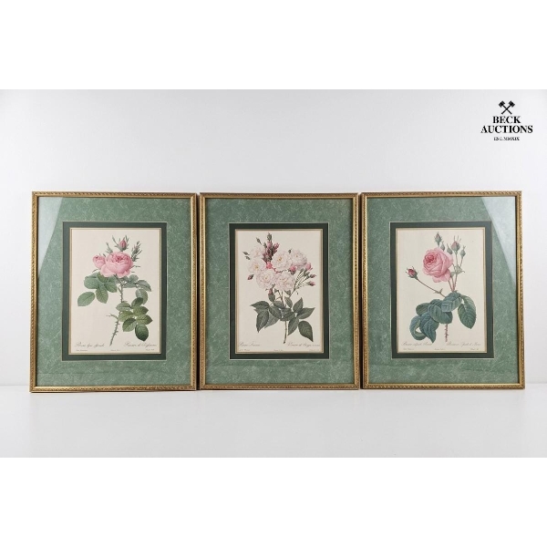 Vintage, Framed Botanical Prints Of Roses After The Original Illustrations 17''*22''INCHES