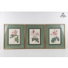 Image 1 : Vintage, Framed Botanical Prints Of Roses After The Original Illustrations 17''*22''INCHES
