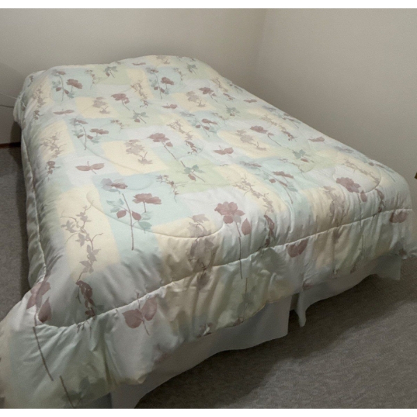 Double Mattress (Firm) w/ Frame & Box Spring 