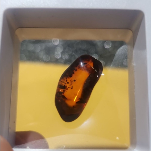 5.7 Carat Natural Baltic Amber- Authentic with Certificate ( Estimated Value $300)