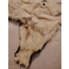 Image 11 : Taxidermy Polar Bear Rug (Severe Damage to Hyde) 85L