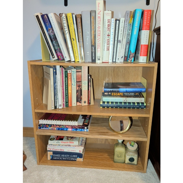 Bookshelf with Large Book Collection 25x10x24 inches