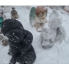 Image 3 : Outdoor Garden Statues Incudes: Angels, Dogs, Frogs and More!