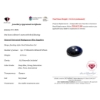 Image 3 :  Blue Sapphire gemstone 15.51 ct Certified ($18,612 Appraisal)